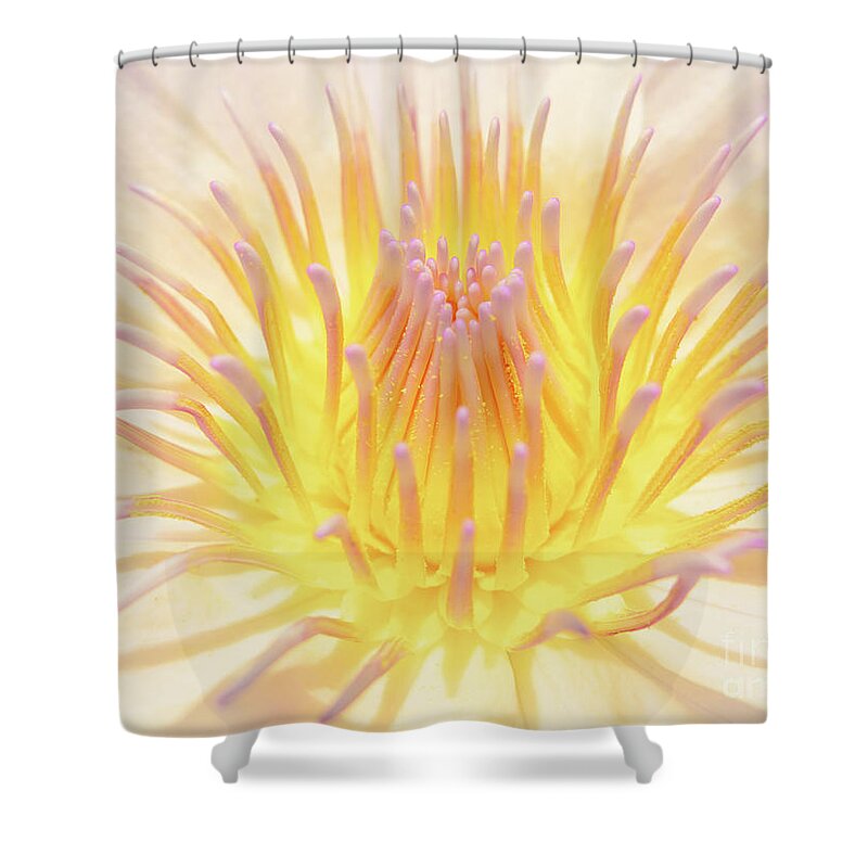 Barbados Shower Curtain featuring the photograph Sweetness Unfolding by Becqi Sherman