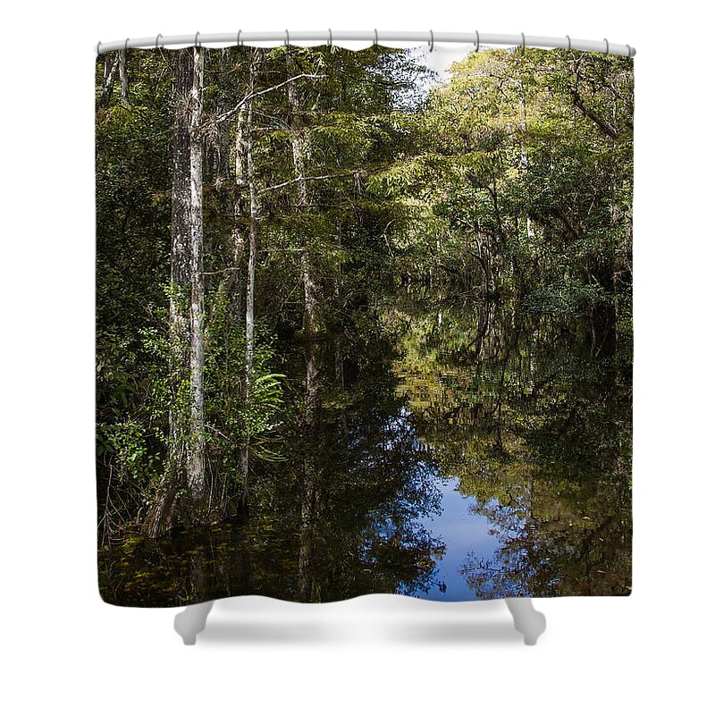 Everglades Shower Curtain featuring the photograph Sweetwater Strand - 10 by Rudy Umans