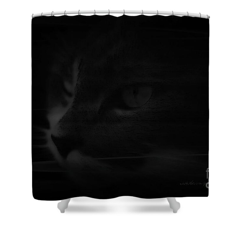 Swirling Shower Curtain featuring the photograph Swirling Sully by Vicki Ferrari