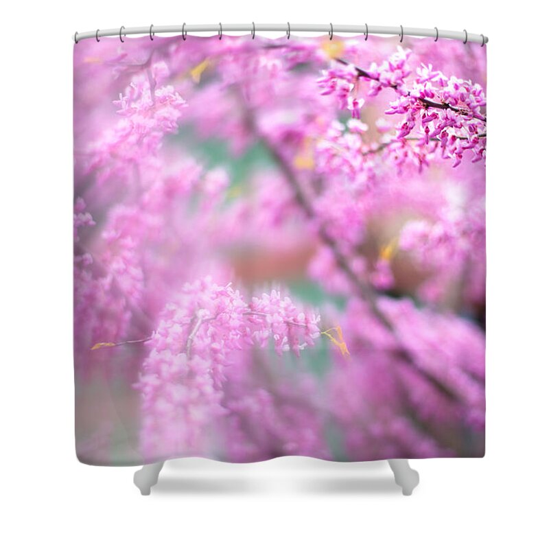 Portland Blossoms Shower Curtain featuring the photograph Swirls of spring by Kunal Mehra