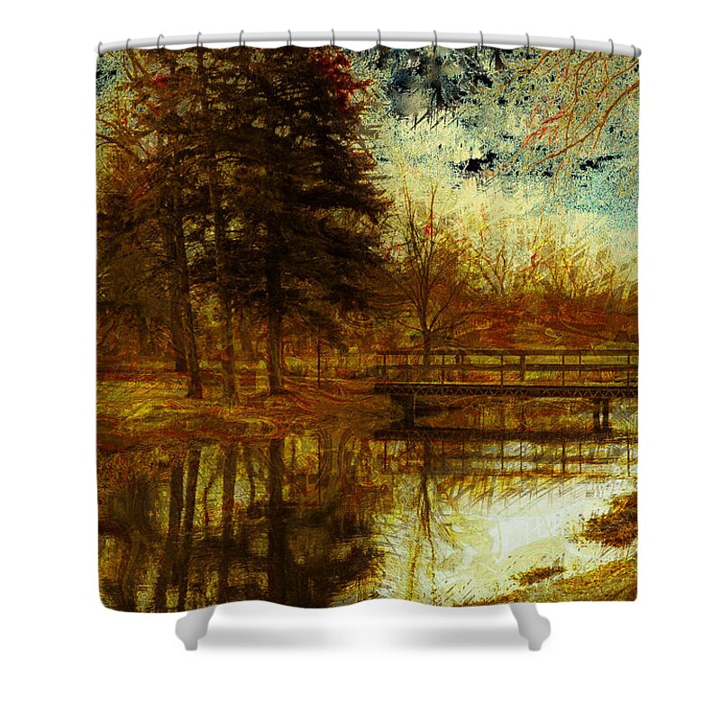 Trees Shower Curtain featuring the photograph Sylvan Bridge by Julie Lueders 
