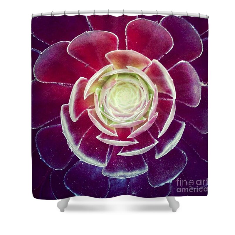 Plant Shower Curtain featuring the photograph Symmetry by Denise Railey