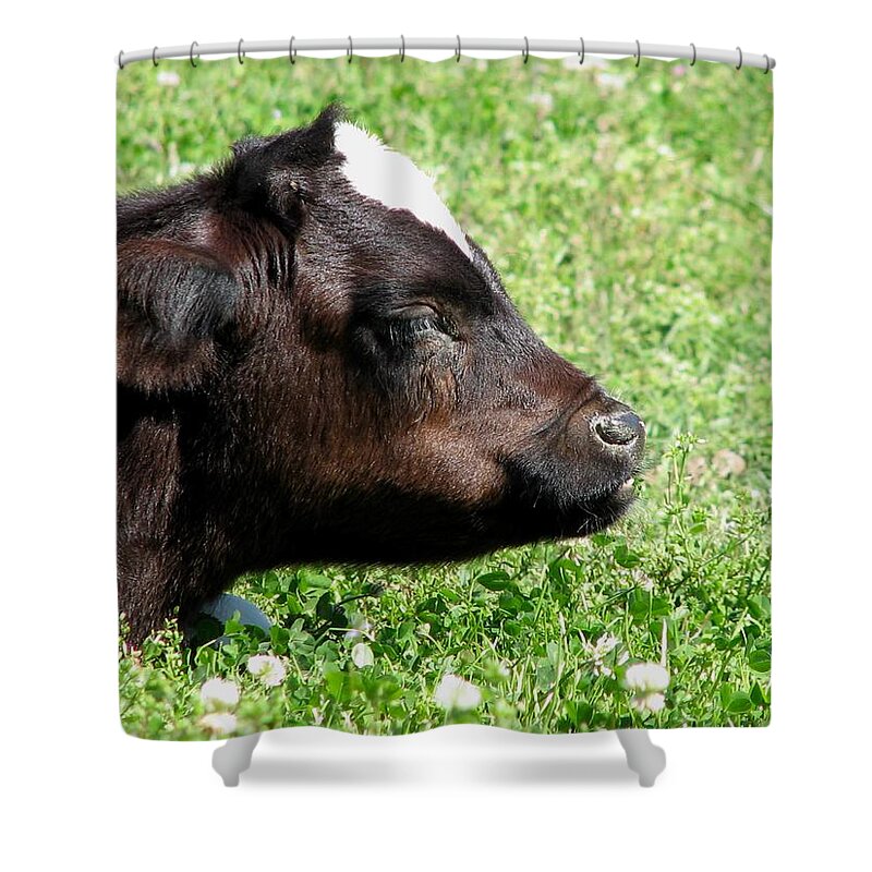 Bull Shower Curtain featuring the photograph T Bone by J M Farris Photography