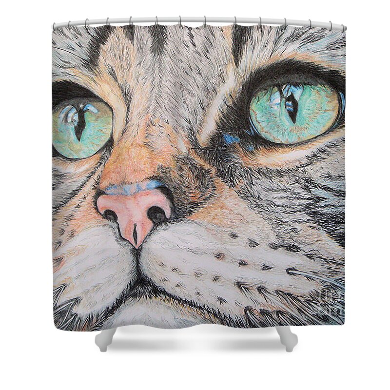 Tabby Cat Shower Curtain featuring the drawing Tabby Cat by Yvonne Johnstone