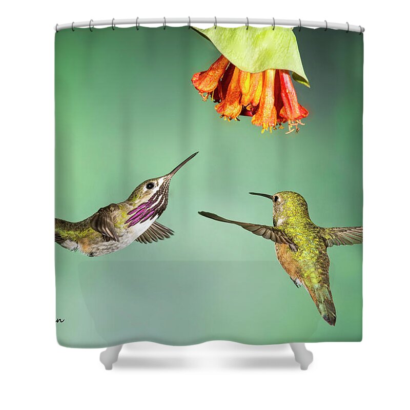 Hummingbirds Shower Curtain featuring the photograph Table For Two by Peg Runyan