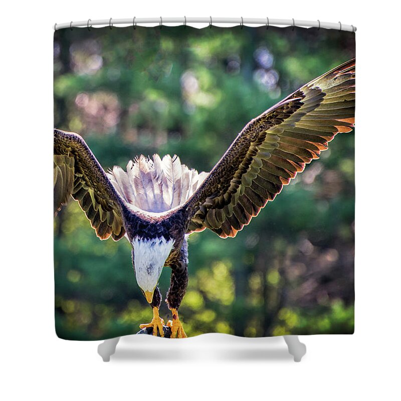 Bald Eagle Shower Curtain featuring the digital art Take A Bow by Anita Hubbard