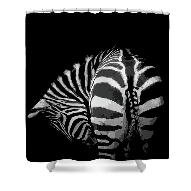Zebra Shower Curtain featuring the photograph Take a bow by Paul Neville