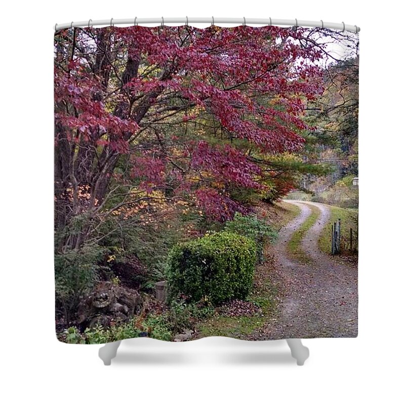 Pathway Shower Curtain featuring the photograph Take the Good Path by Allen Nice-Webb