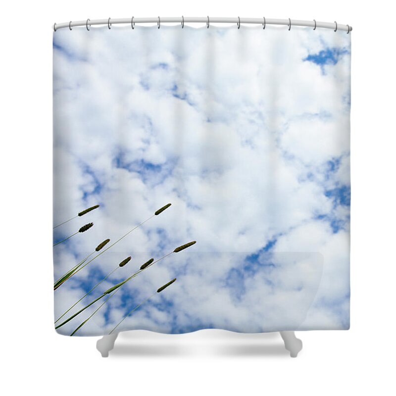 Creation Shower Curtain featuring the photograph Taking It All In by Laura Tucker