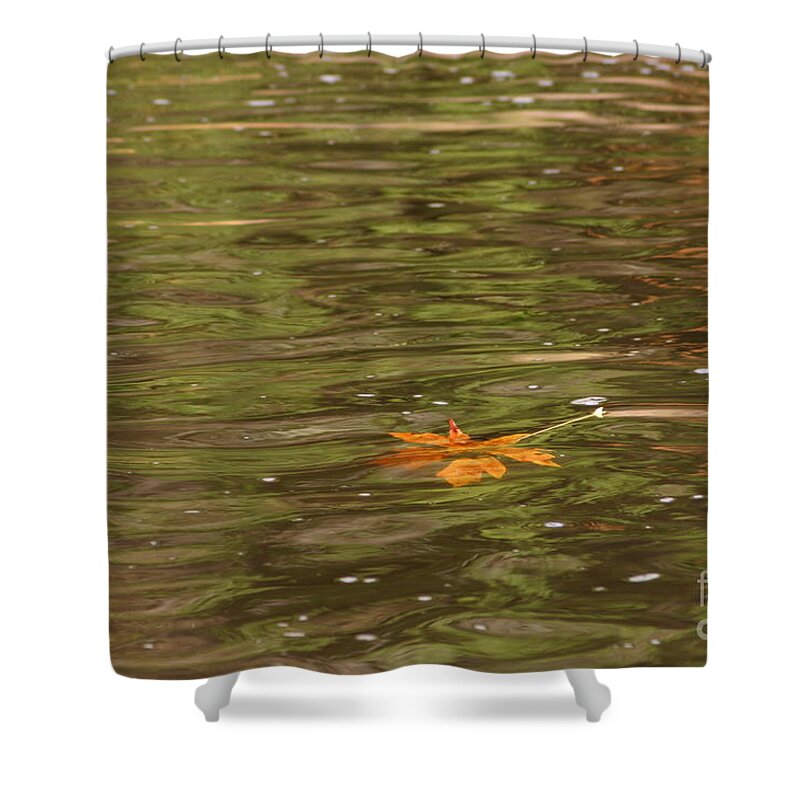 Time Shower Curtain featuring the photograph Taking my time by Marie Neder