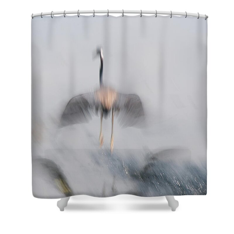 Bird Flight Water Shower Curtain featuring the photograph Taking off by Carolyn D'Alessandro
