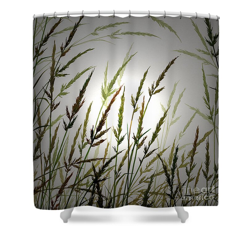 Sunlight Shower Curtain featuring the digital art Tall Grass and Sunlight by James Williamson