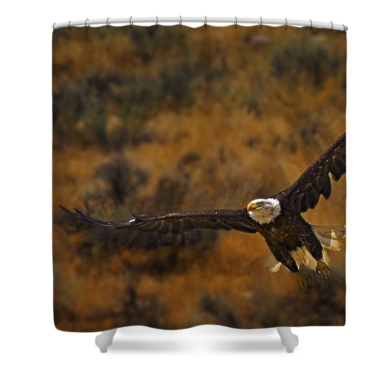 Haliaeetus Leucocphalus Shower Curtain featuring the photograph Talons At The Ready-Signed by J L Woody Wooden