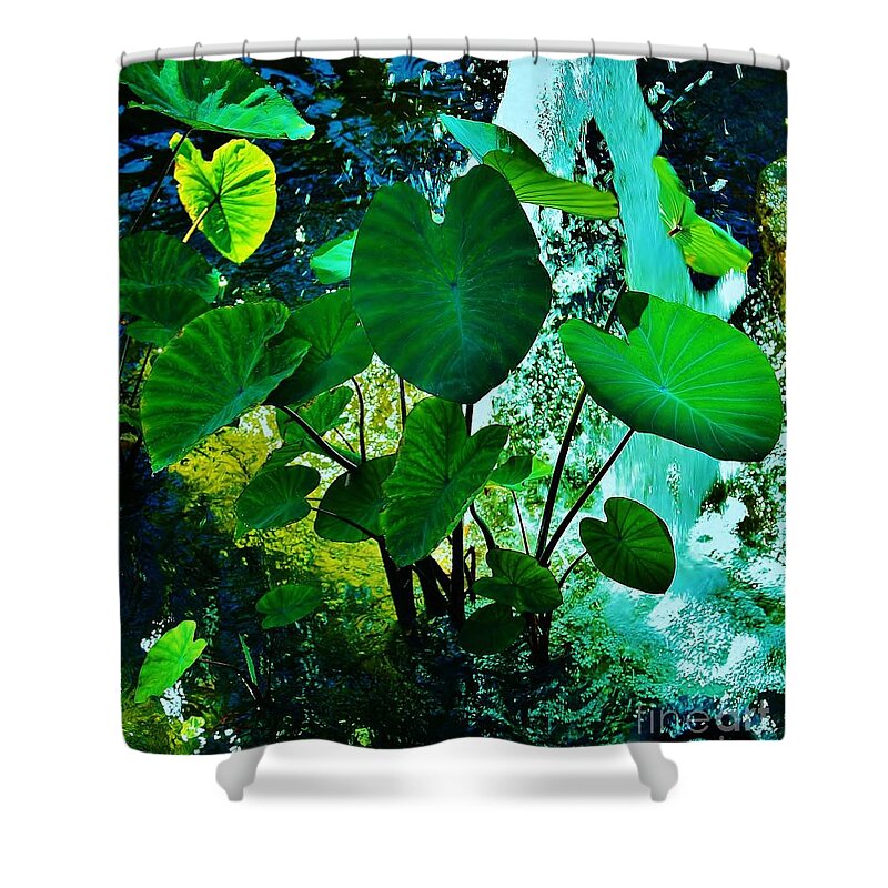 Taro Shower Curtain featuring the photograph Taro - Kalo The Staff of Life by Craig Wood