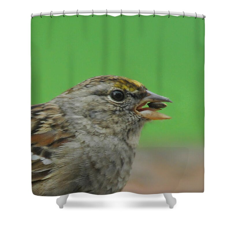 Bird Shower Curtain featuring the photograph Tasty Tidbit by Donna Blackhall