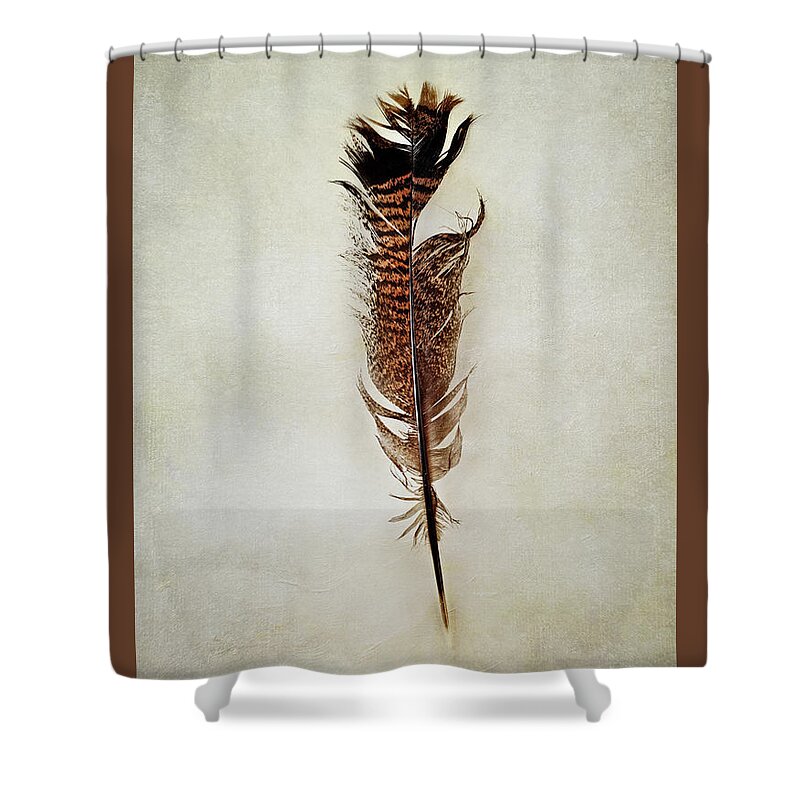 Bird Shower Curtain featuring the photograph Tattered Turkey Feather by Stephanie Frey