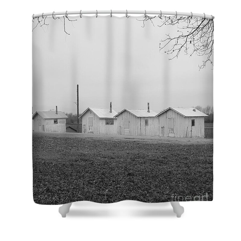 Stay Shower Curtain featuring the photograph Temporary Stay by Marie Neder