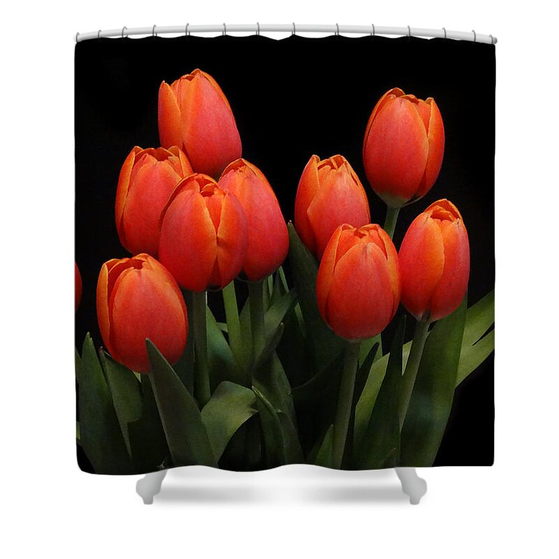 Wisconsin Shower Curtain featuring the photograph Ten Tulips by David T Wilkinson