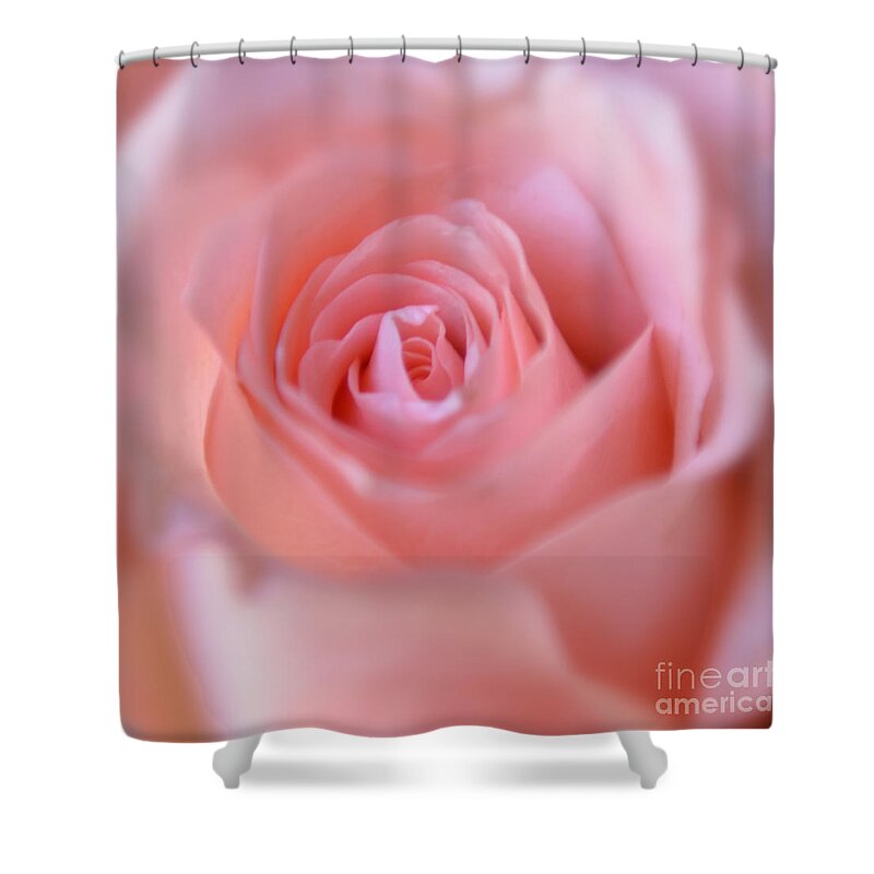Pink Rose Shower Curtain featuring the photograph Tenderness of Pink Rose by Olga Hamilton