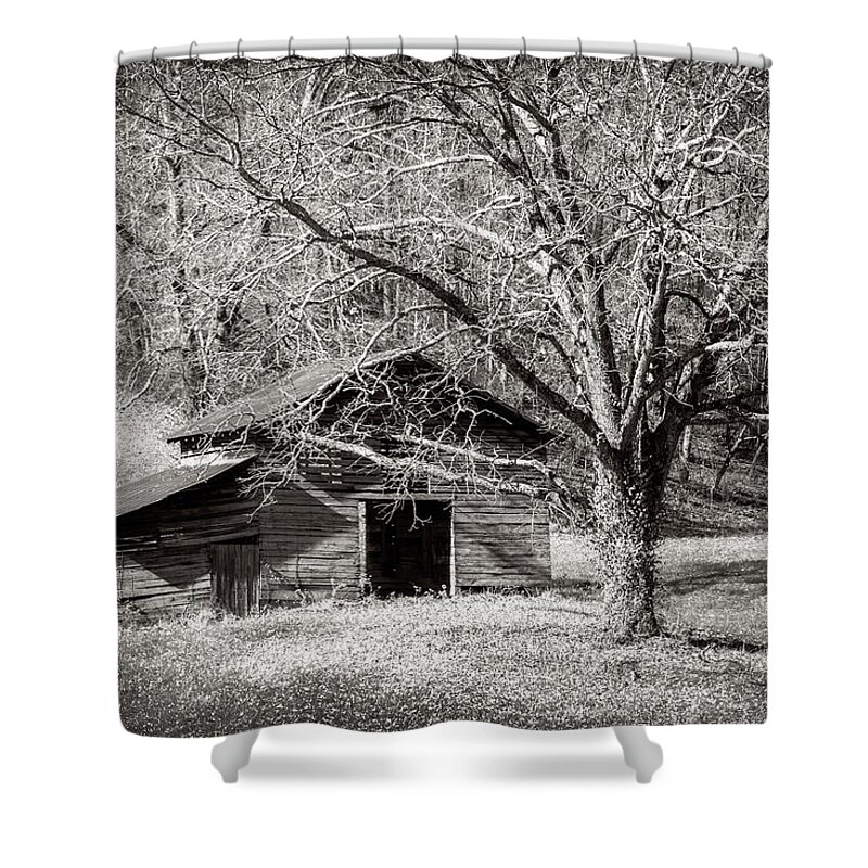 Nc Shower Curtain featuring the photograph Test of Time by Todd Reese