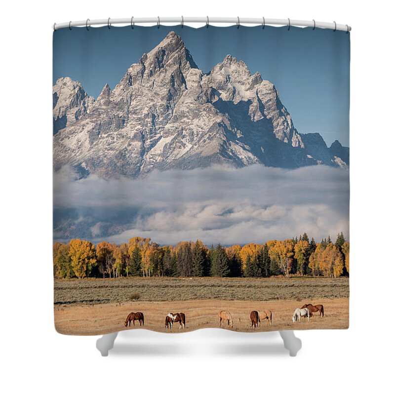 Horses Shower Curtain featuring the photograph Teton Horses by Wesley Aston