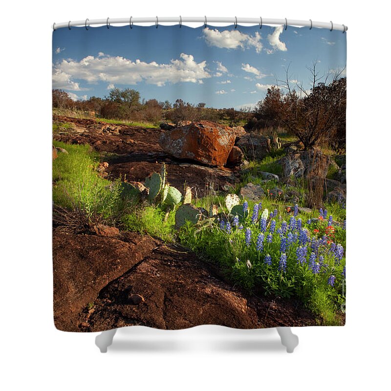 Texas Blue Bonnets Shower Curtain featuring the photograph Texas Blue Bonnets and cactus by Keith Kapple