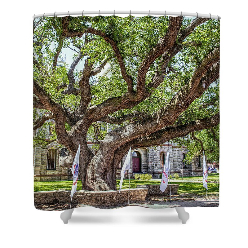 Texas Shower Curtain featuring the photograph Texas Hanging Tree by Lynn Sprowl