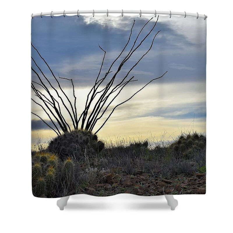 Texas Shower Curtain featuring the photograph Texas high desert by Mark Mitchell