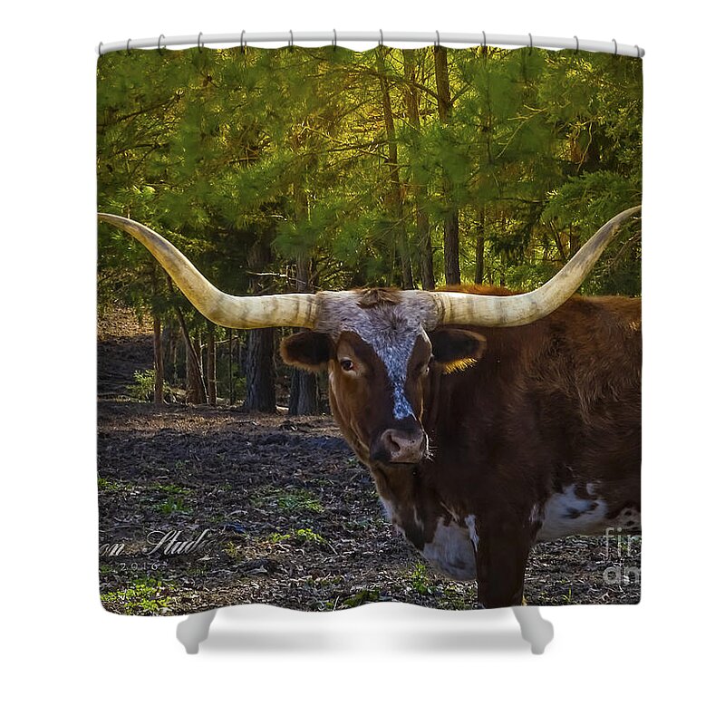  Shower Curtain featuring the photograph Texas Long Horn Bull by Melissa Messick