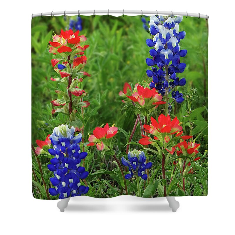 Bluebonnets Shower Curtain featuring the photograph Texas Treasures by Doris Aguirre