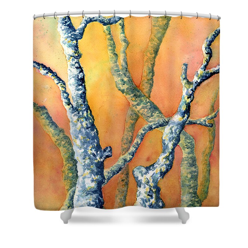 Branches Shower Curtain featuring the painting Texas Yaupon at Sunset by Wendy Keeney-Kennicutt