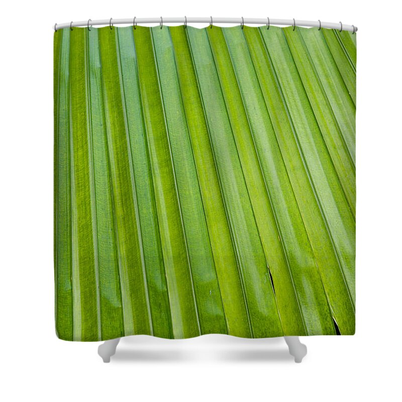 Texture Shower Curtain featuring the photograph Texture 330 by Michael Fryd