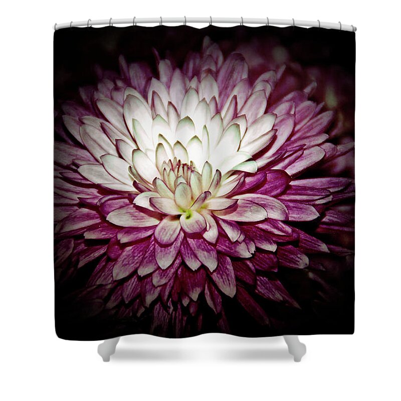 Flower Shower Curtain featuring the photograph Texture Drama Burning Pink by Aimee L Maher ALM GALLERY