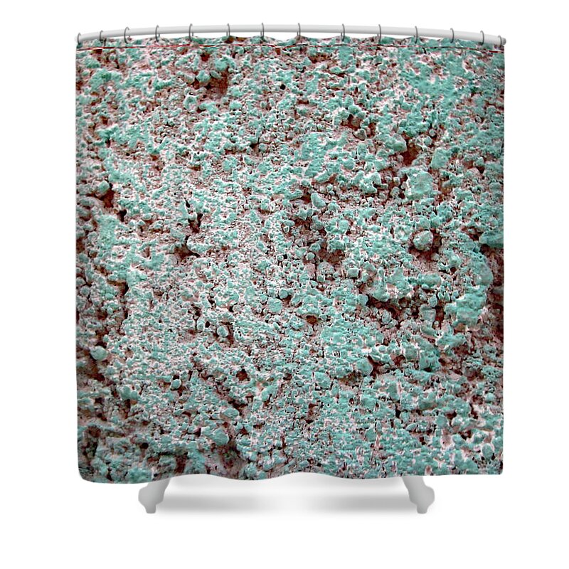 Texture Shower Curtain featuring the photograph Texture No. 5-1 by Sandy Taylor