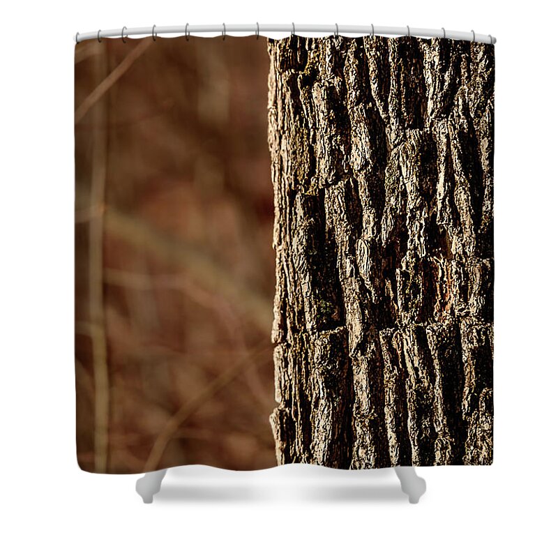 Texture Shower Curtain featuring the photograph Texture Study by Robert Mitchell