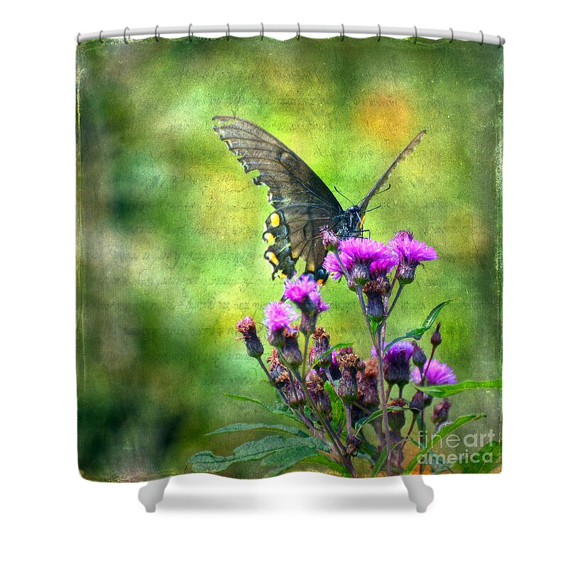 Butterfly Shower Curtain featuring the photograph Textured Art - Black Butterfly by Kerri Farley