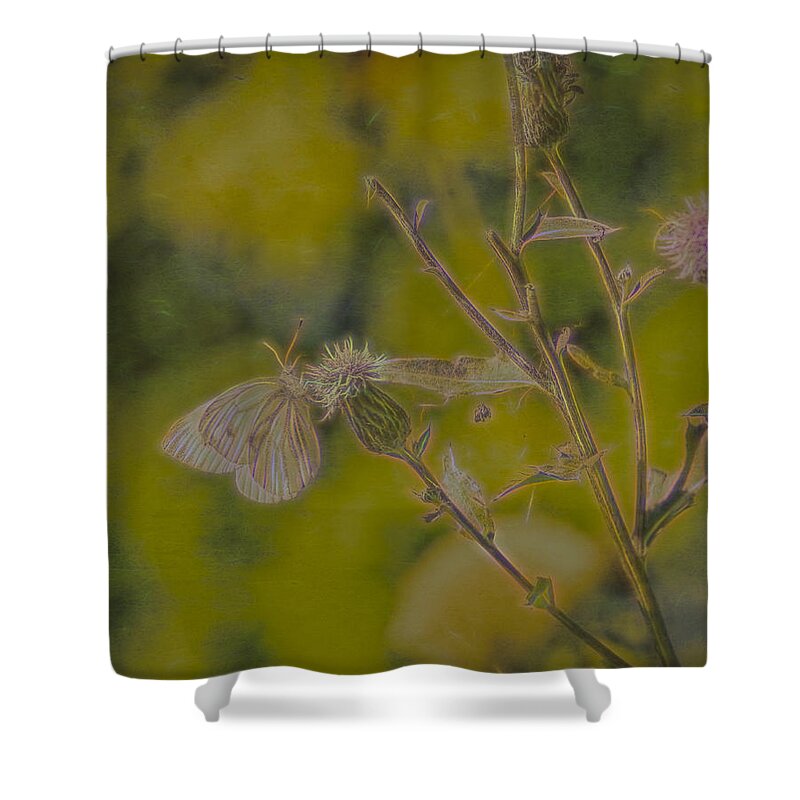 Artistic Shower Curtain featuring the photograph Textured butterfly 1  by Leif Sohlman