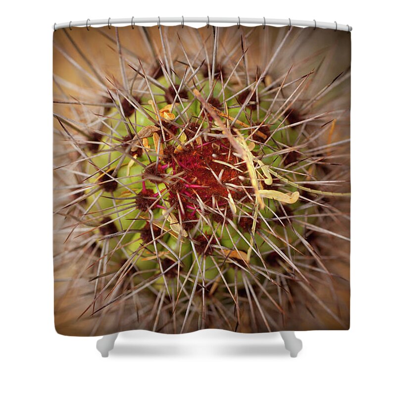 Cactus Shower Curtain featuring the photograph Textures of Arizona by John Magyar Photography