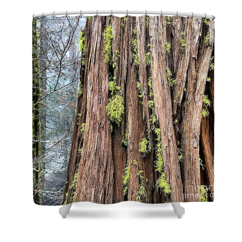 Texture Shower Curtain featuring the photograph Texturing by Paul Foutz