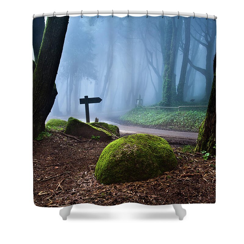 Jorgemaiaphotographer Shower Curtain featuring the photograph That way by Jorge Maia