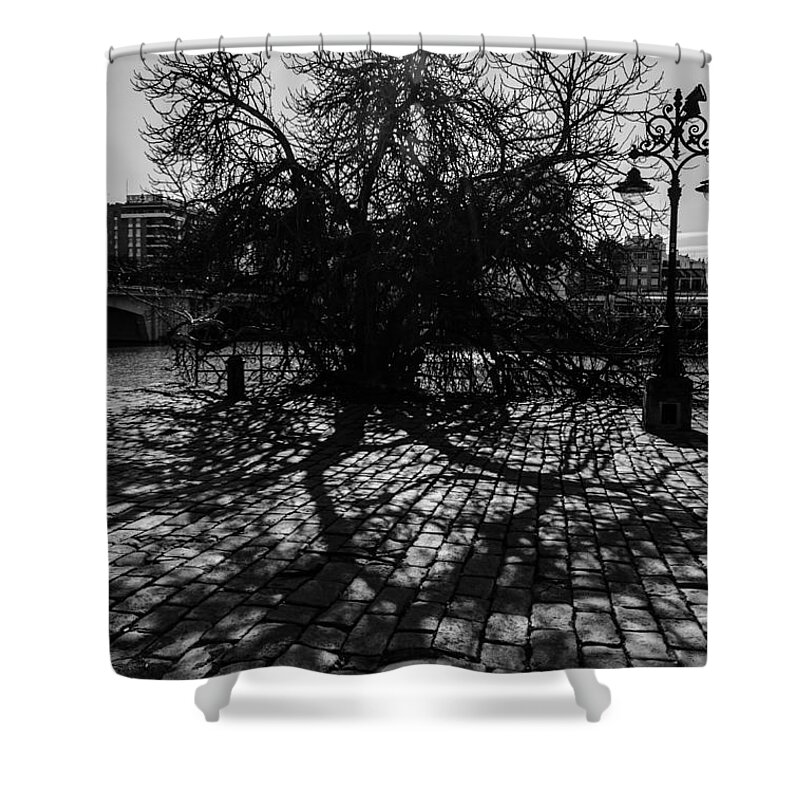 Monochrome Shower Curtain featuring the photograph The ancient tree and its shadow by AM FineArtPrints