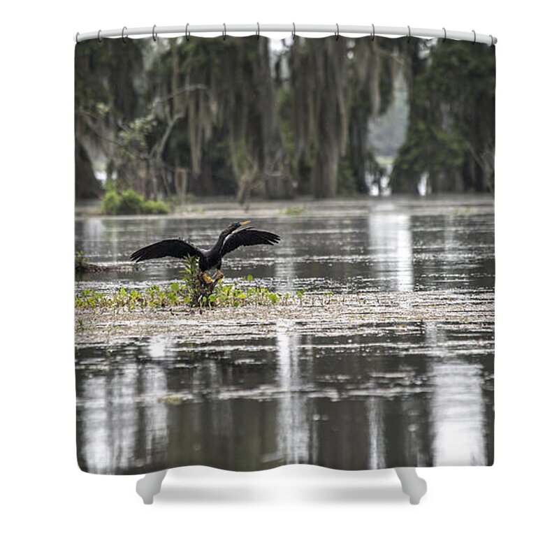 Louisiana Shower Curtain featuring the photograph The Announcer by Betsy Knapp