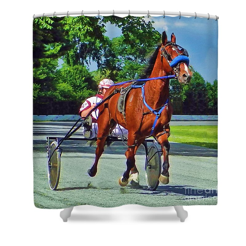 Standardbred Shower Curtain featuring the photograph The Backstretch by Carol Randall