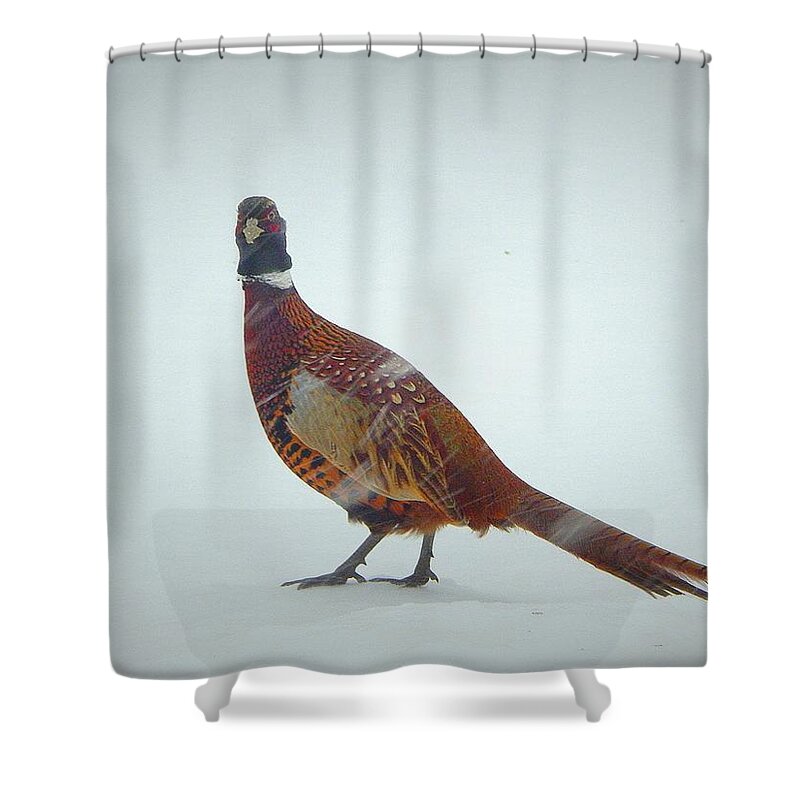 The Barrens Of Winter Shower Curtain featuring the photograph The barrens of winter by Karen Cook