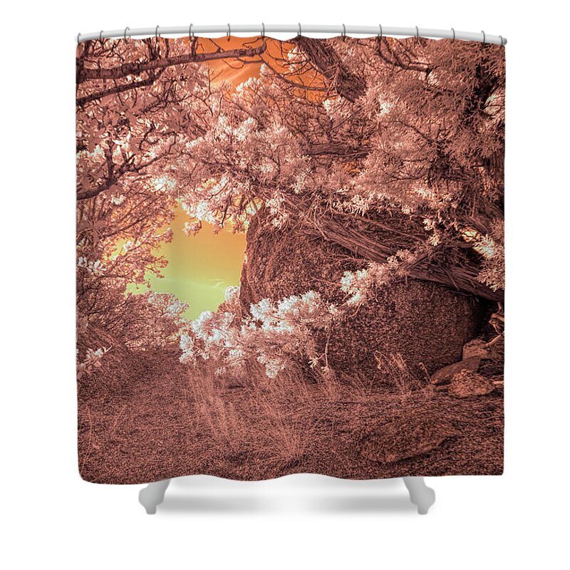 Nature Shower Curtain featuring the photograph The Bashful Boulder by Michael McKenney