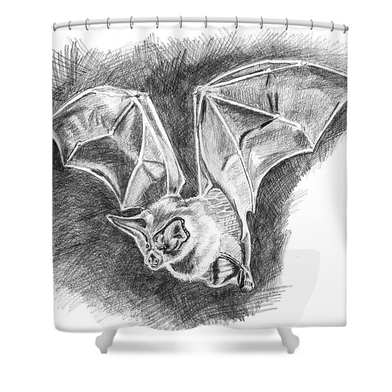 Bat Shower Curtain featuring the photograph The Bat by Luzia Light