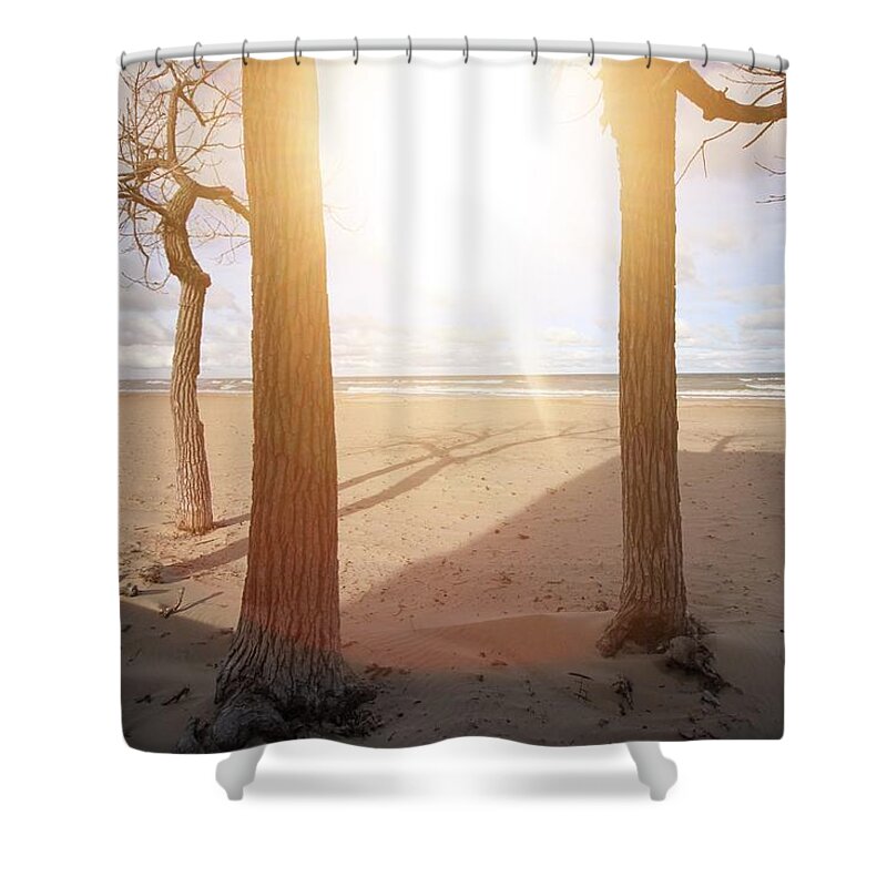 Beach Shower Curtain featuring the photograph The Beach by Jackson Pearson