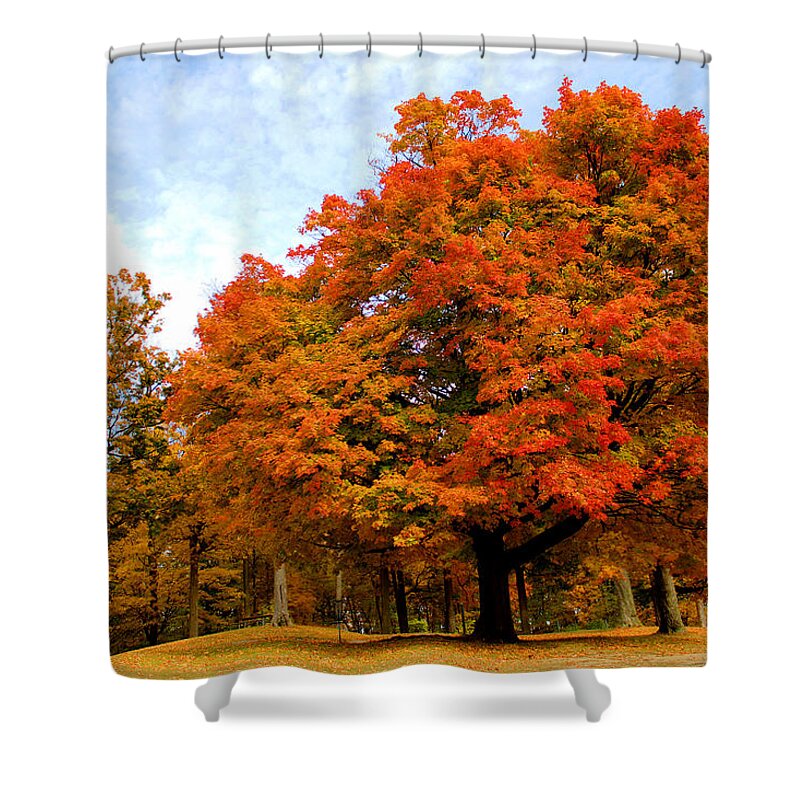 Autumn Shower Curtain featuring the photograph The Beauty of Autumn by Michael Rucker