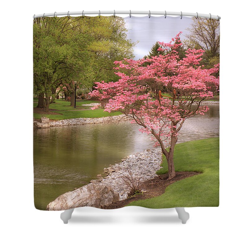 Spring Shower Curtain featuring the photograph The Beauty of Spring by Angie Tirado