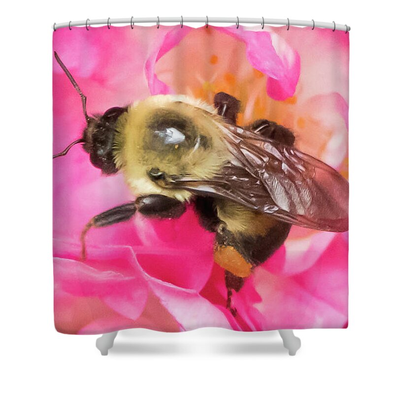 Pollen Shower Curtain featuring the photograph The Bees Are Back In Town Signature Series by DiDesigns Graphics